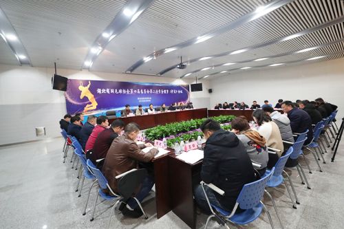 省羽协常务理事会议在熊猫体育中心召开</br>赵芸蕾韩爱萍参加会议(图2)