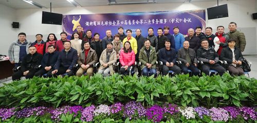 省羽协常务理事会议在熊猫体育中心召开</br>赵芸蕾韩爱萍参加会议(图7)