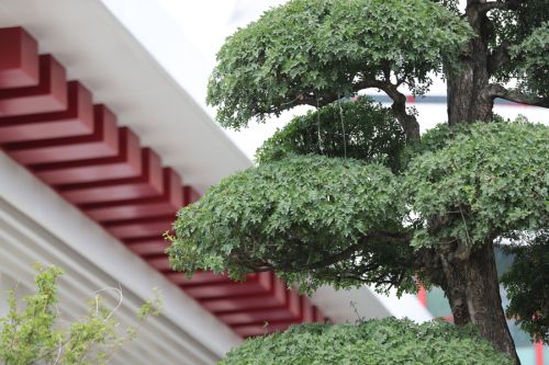 熊猫体育中心的颜值(图6)