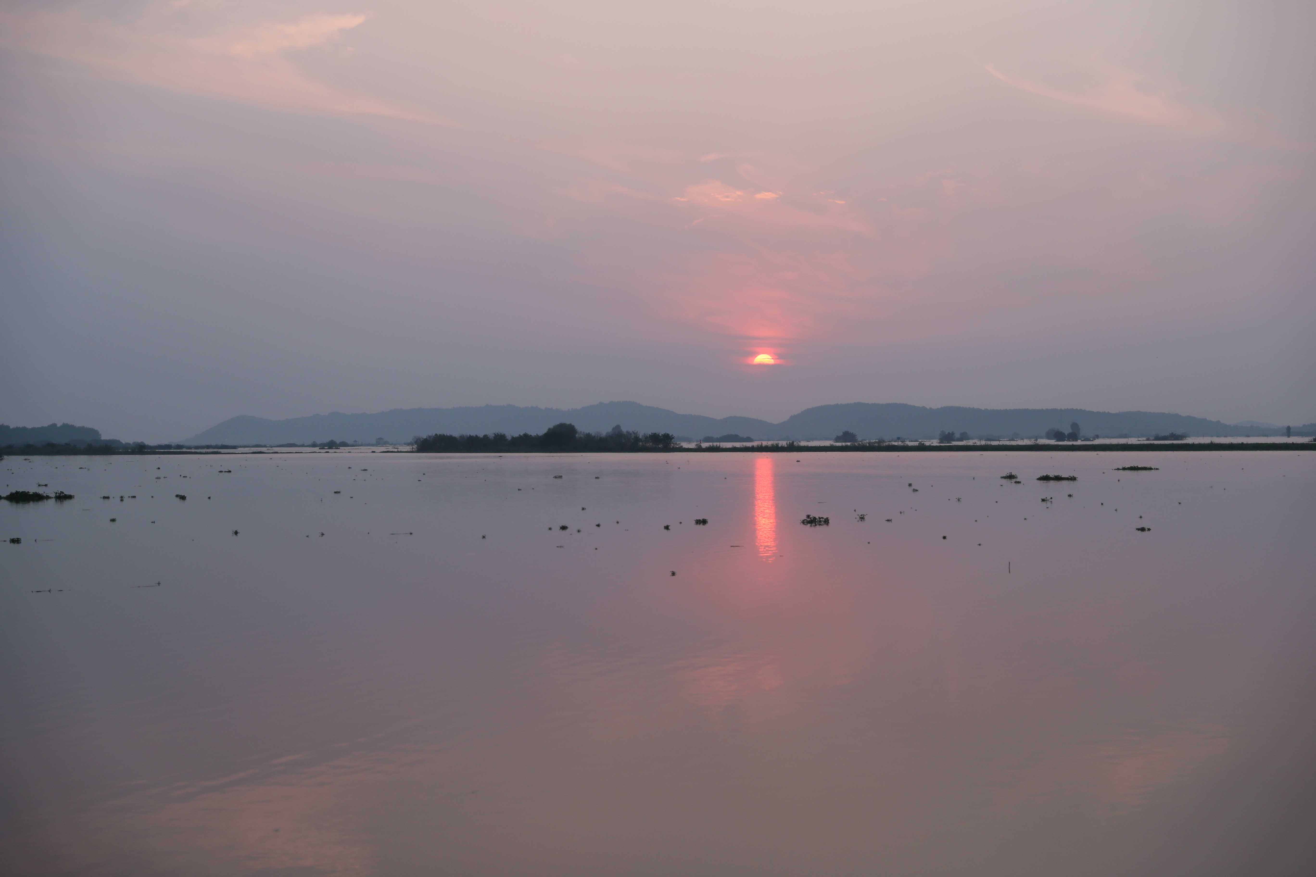 新闻特写：不忘汛情，夜上堤防(图6)